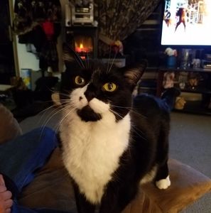 Meet your Posher, Tammy